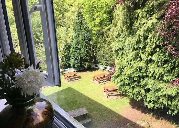 Salmon Leap Hotel