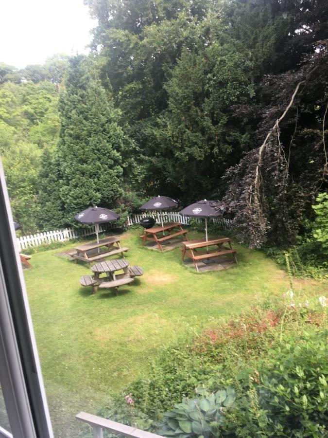 Hotel Salmon Leap 3*